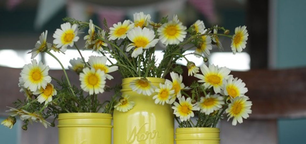 10 ingenious ways to reuse food containers