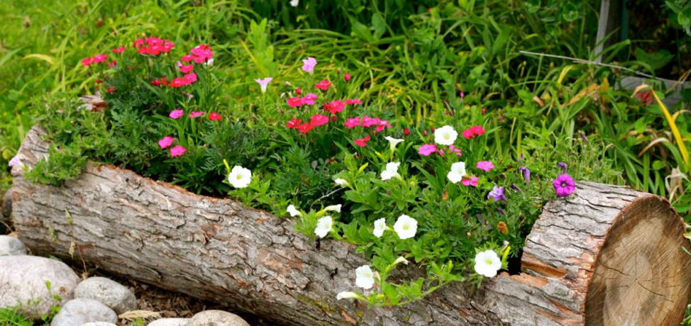Creative DIY log planter projects