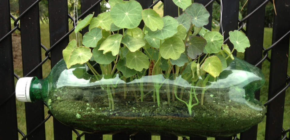 Creative ways to reuse plastic bottles