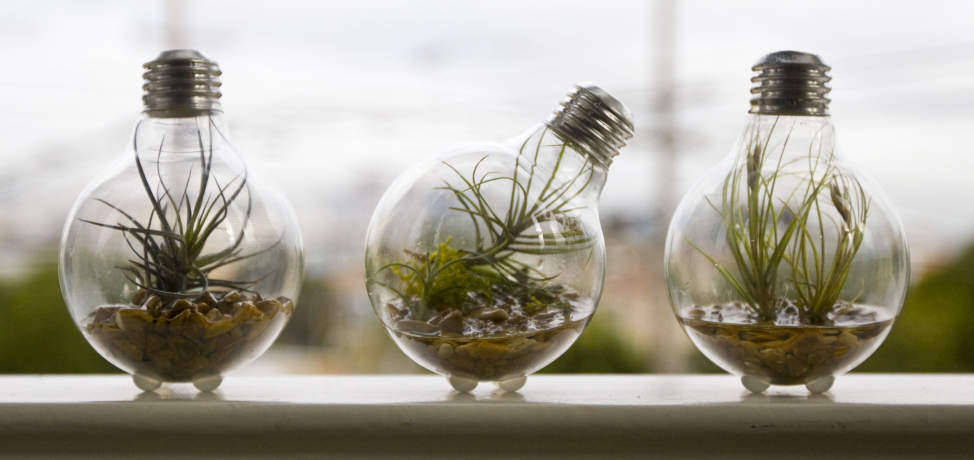 DIY projects made with old light bulbs