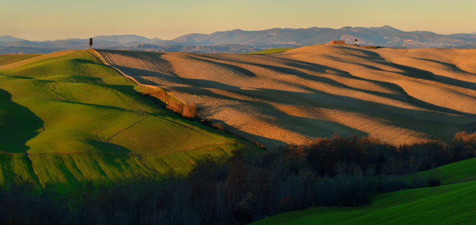 Fields of Tuscany